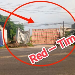 Ngeri !! Gudang BBM Jenis Solar Bersubsidi dan Crude Palm Oil (CPO) Diduga Milik ‘Mafia’ Bebas ‘Beroperasi’ di Pinggir Jalan Raya Lintas Sumatera @Tanjung Morawa, Selama Ini Tidak Tersentuh Hukum